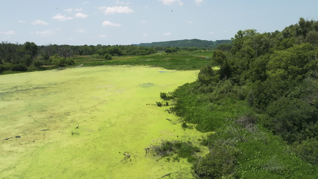 vista aérea de un humedal con algas en el refugio nacional de vida silvestre de trempealeau, wisconsin, estados unidos - toma de un avión no tripulado