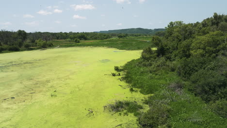 aerial view of wetland with algae in trempealeau national wildlife refuge, wisconsin, united states - drone shot