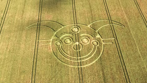 aerial view looking down at clouds shadows passing over clown face crop circle farmland