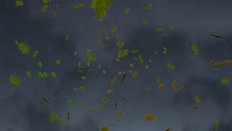 digital animation of multiple autumn maple leaves floating against textured grey background