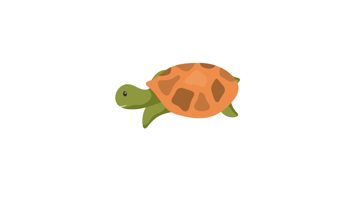 Cute Cartoon Turtle Animation on White Background
