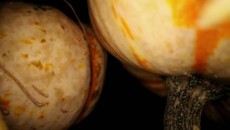 comenzando con una vista macro de dos calabazas, una girada hacia el tallo, moviéndose hacia atrás a través del núcleo de una calabaza: muchas fibras fibrosas en el lado izquierdo, un par de semillas aún parcialmente incrustadas