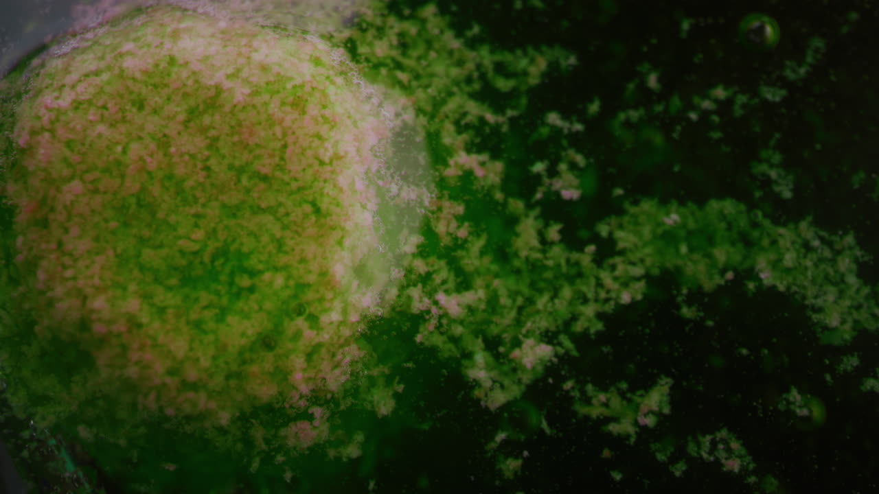 화학 반응 실험