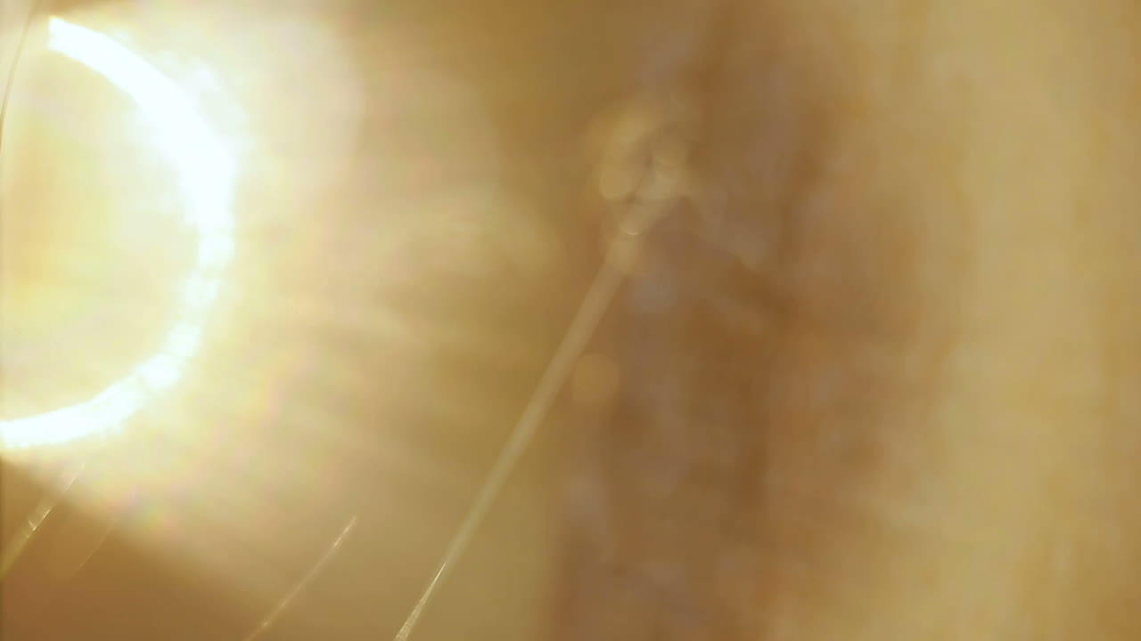 Meadow Grass Nature. Beautiful nature with green grass and sunlight