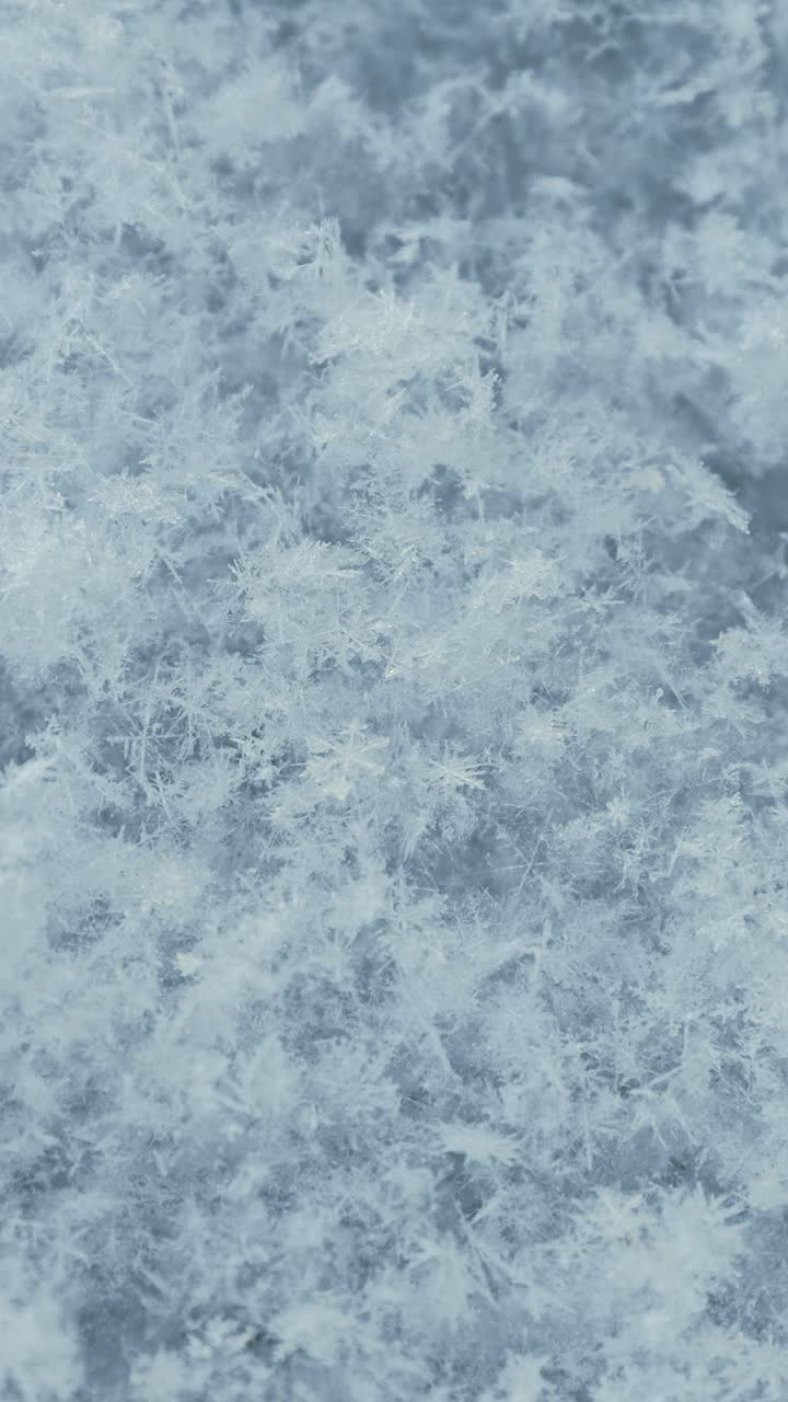 Macro primo piano verticale di fiocchi di neve freschi che brillano su una superficie ghiacciata, dettaglio di trama invernale.