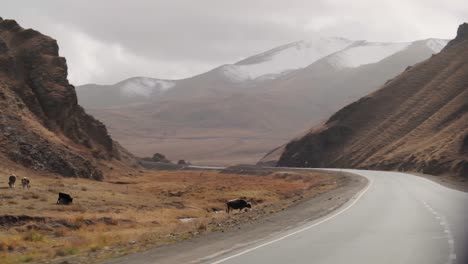 driving around naryn kyrgyzstan beautiful untouched wilderness landscapes