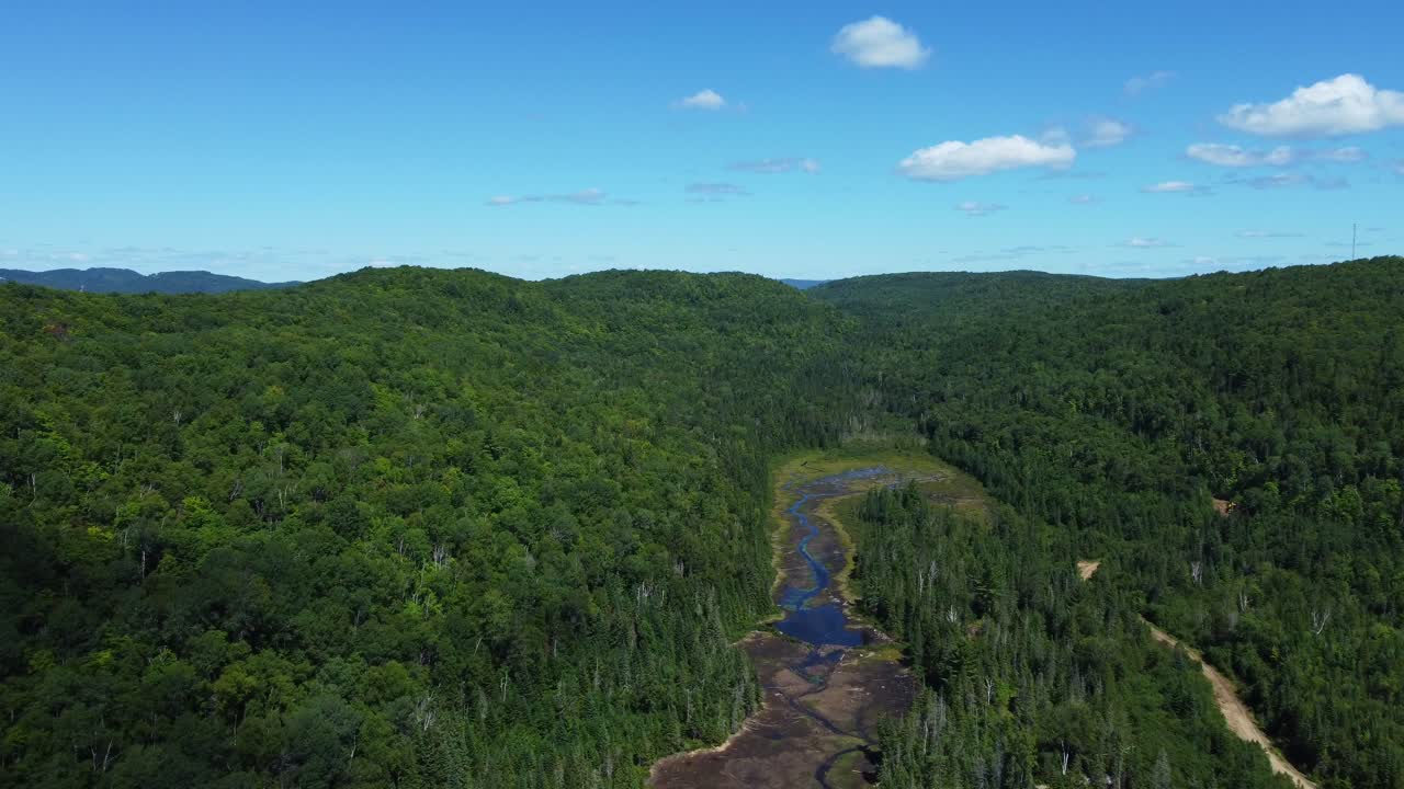 bosque de montaña verde con río secándose debido al calentamiento global filmado desde el cielo