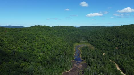 Grüner-Bergwald-Mit-Flussaustrocknung-Aufgrund-Der-Globalen-Erwärmung,-Gefilmt-Vom-Himmel