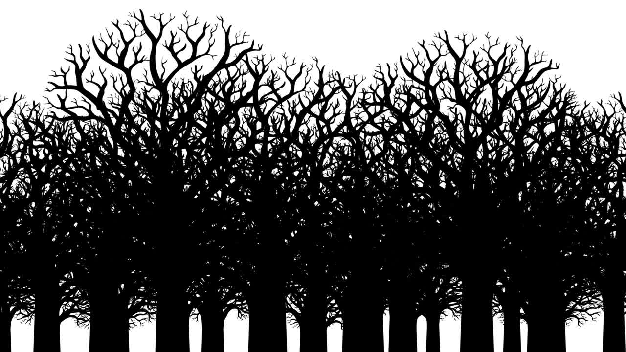 잎이 없는 벌거벗은 나무의 애니메이션 - 검은색과 색 윤