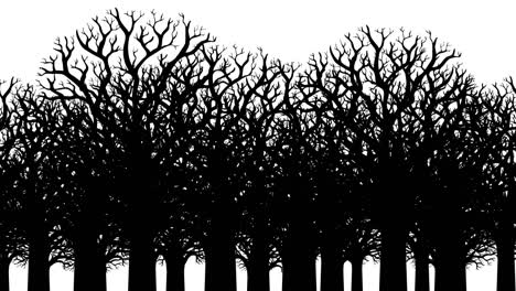 animación de árboles desnudos sin hojas. contornos en blanco y negro.