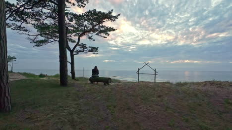 a smooth tracking shot of a lady sitting on a log seat watching the ocean