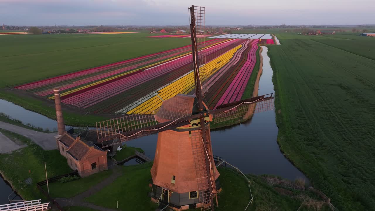 Luftaufnahme eines Kanals, gesäumt von Tulpen und einer klassischen Windmühle bei Sonnenuntergang.