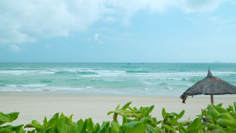 Turquoise-Waters-of-the-South-China-Sea-Rolling-Over-Pristine-White-Sands-of-Long-Beach-in-Nha-Trang,-Vietnam---wide-angle-from-behind-bush-landscaping