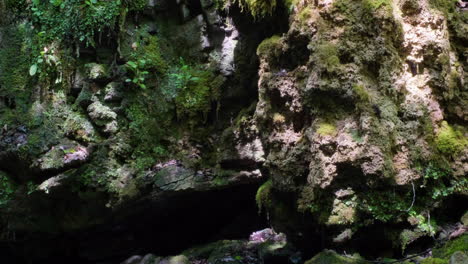 water running down rocks at gorpley clough woods, in west yorkshire