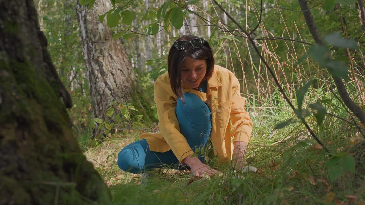 Joyful nature exploration. Woman enjoys peaceful woodland encounter. Serene female explores forest floor and moss. Woman delights in discovering details of natural woodland life around her