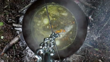 estofado de pescado recién capturado hirviendo en un fuego de campamento - vista directa hacia abajo
