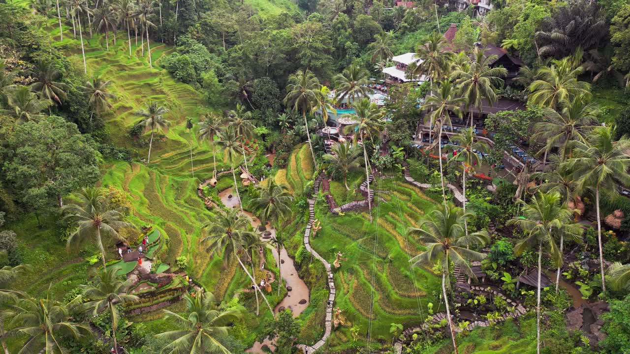 High angle shot over Alas Harum revealing stepped terraces, linked footpaths, tropical palms, carved landscape features, and the flowing valley stream that shapes the Tegalalang hillside environment