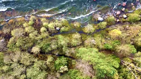 An-Aerial-View-Of-A-Grove-And-Shrubs-Near-A-Lake-With-Waves-Flowing-On-Rocky-Bank