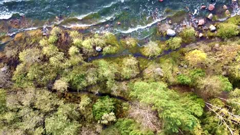 an aerial view of a grove and shrubs near a lake with waves flowing on rocky bank