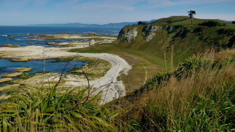 wide shot of coastline with islands in kaikoura during sunny day,new zealand