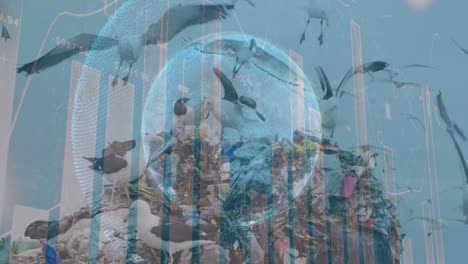 digital composite video of financial data processing against birds flying over landfill