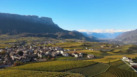 aerial drone over the vineyards in autumn in alto adige in italy