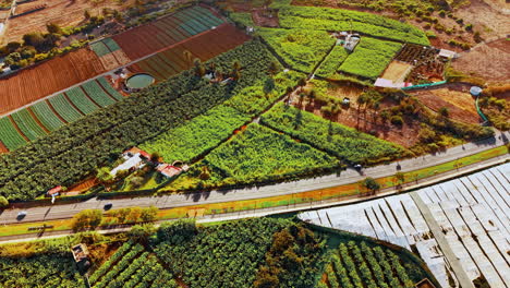 exploring the lush agricultural landscape of gran canaria, spain from above