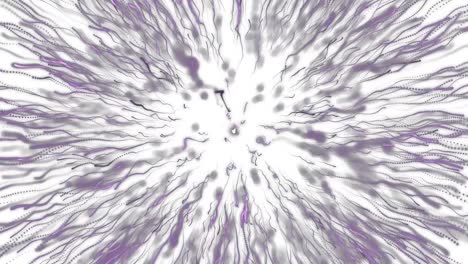 Animation-of-exploding-pink-firework-on-white-background