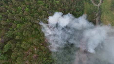 Waldbrand-Brennt-Im-Trockenen-Sommer-Auf-Dem-Bergrücken