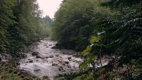 Slow-motion-shot-of-a-river-surrounded-by-woods-on-a-cloudy-day-in-Vancouver-Lynn-valley