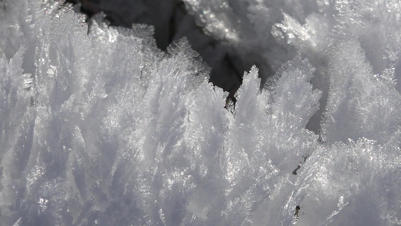 Primo piano di intricati cristalli di brina in una fredda giornata invernale