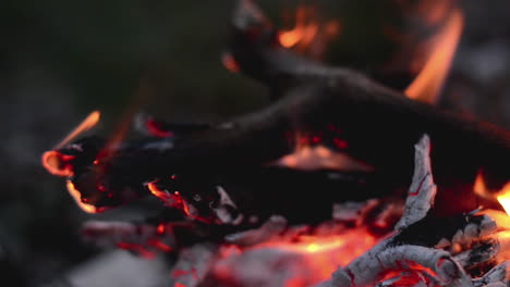 Close-shot-of-bright-flames-and-burning-firewood