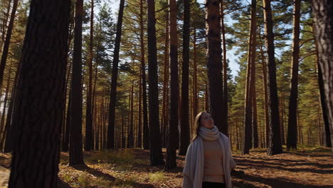 woman relaxing in a sunlit forest