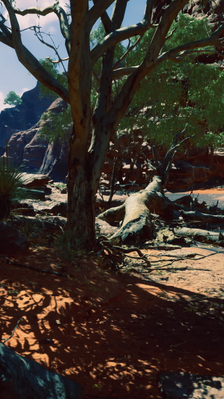 Desert landscape with river and trees under bright sky in warm daylight