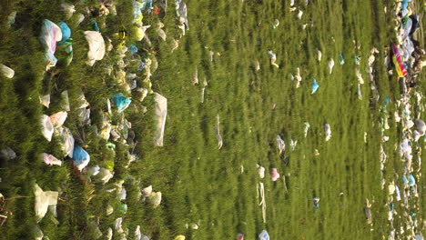 lush green field in countryside polluted by discarded trash