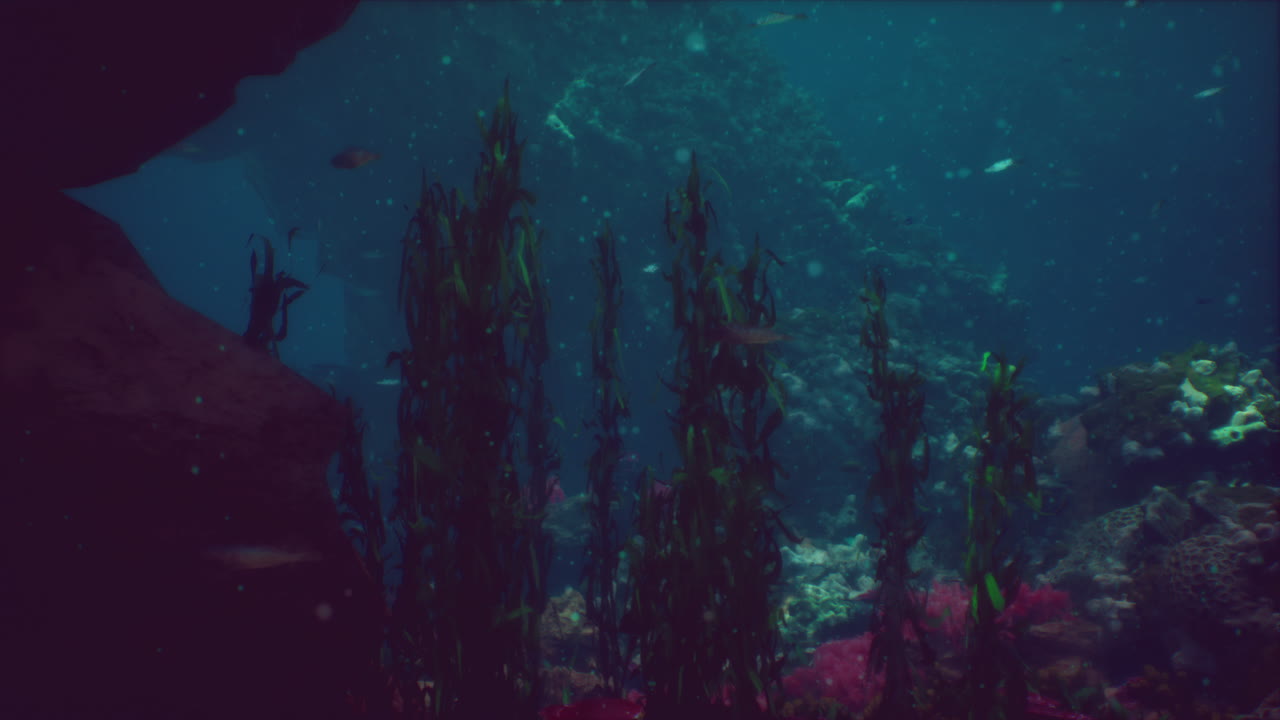 escena bajo el agua del acuario