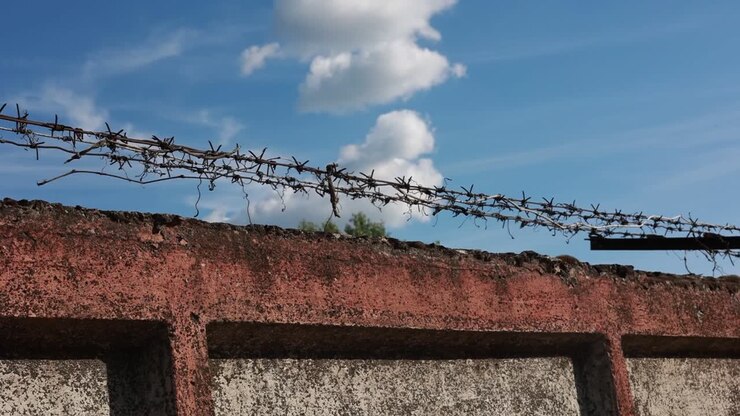 Recinzione di filo spinato arrugginito su muro di cemento danneggiato