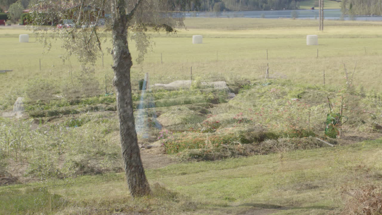 야채  ⁇ 의 긴 기간 시간 경과, 겨울에서 여름으로의 전환