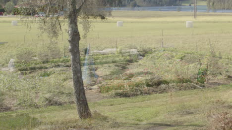 Long-duration-timelapse-of-vegetable-patch,-winter-to-summer-transition