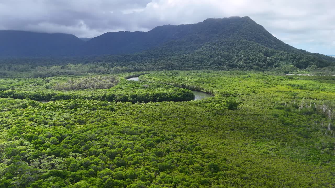 Drone glides above dense rainforest, revealing winding river and mountain under dramatic cloudy daylight