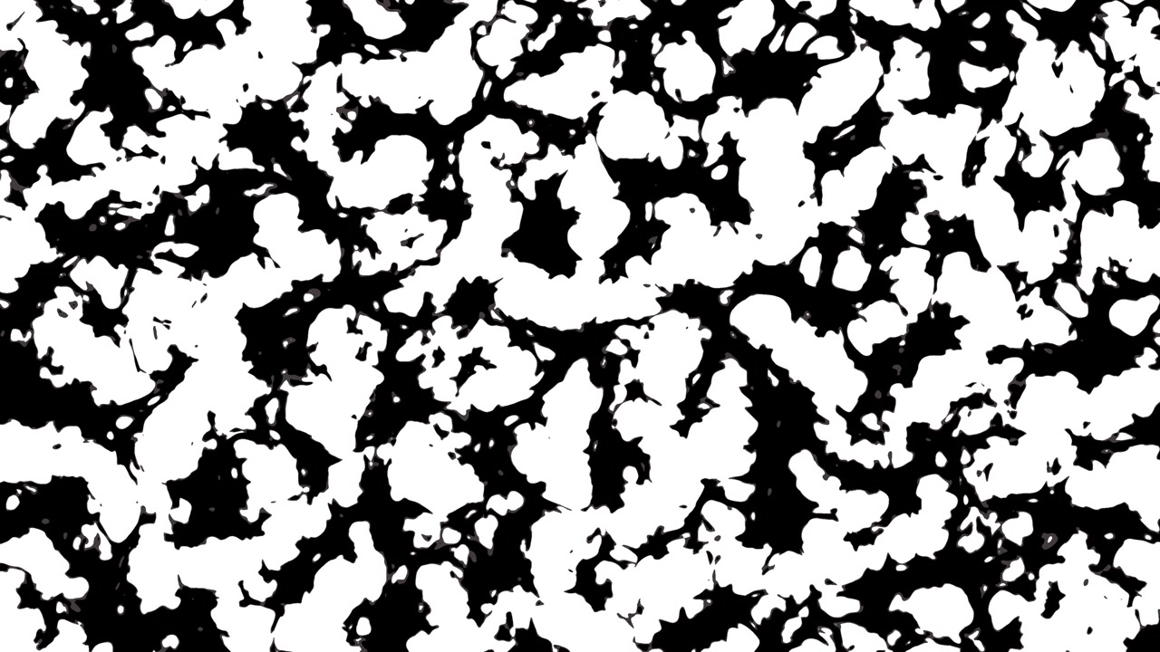 Transizioni 4K in bianco e nero con effetto carta bruciata.