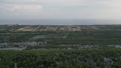 Capturing-the-fusion-of-ocean-and-Manialtepec-lagoon-near-Puerto-Escondido,-Oaxaca,-Mexico