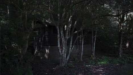 old abandoned ammo storage on tomogashima military fort, japan