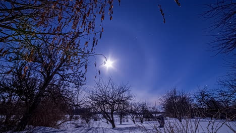 Heiligenschein-Um-Den-Vollmond,-Der-Den-Nachthimmel-über-Der-Winterlandschaft-Erhellt