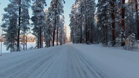 Conducción-Cuidadosa-Y-Hábil-Pov-A-Través-De-Caminos-Forestales-Cubiertos-De-Nieve-Finlandia