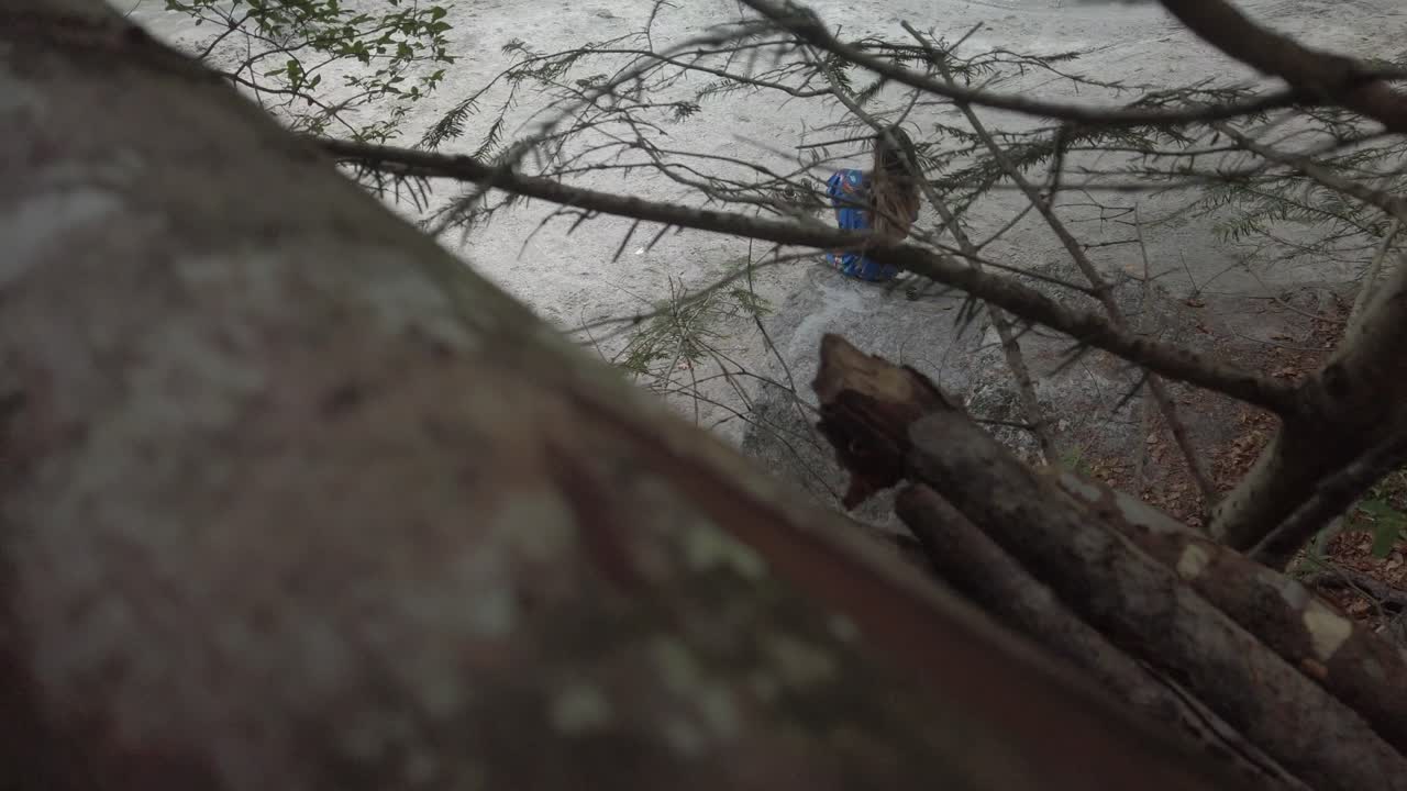 chica romántica sentada en una roca en el bosque con árboles