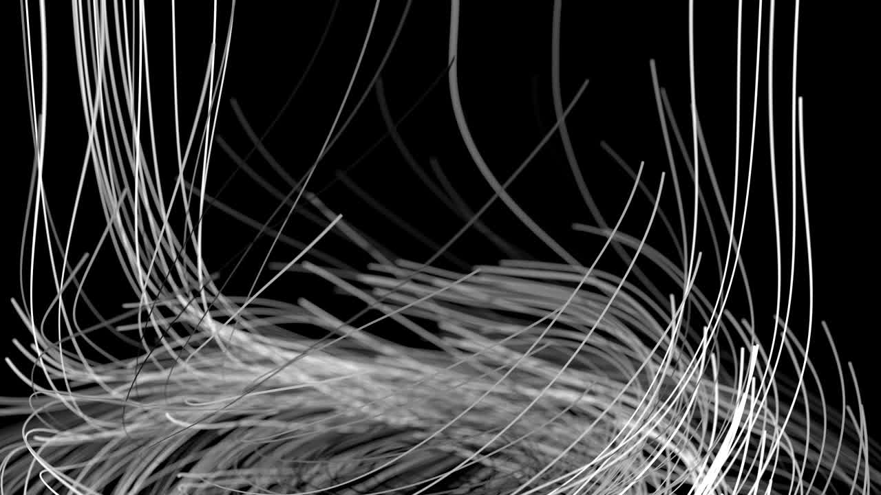 3d render, growing lines background, organic movement, black and white, 4k alpha mask animation