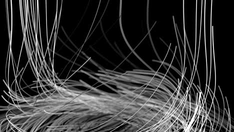 rendering 3d, linee in crescita sullo sfondo, movimento organico, bianco e nero, animazione di maschera alfa 4k