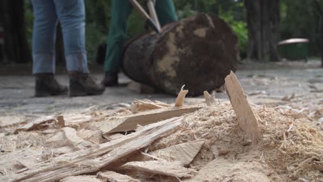 Two-people-are-working-on-hollowing-out-a-log-trunk-with-hand-tools-surrounded-by-sawdust