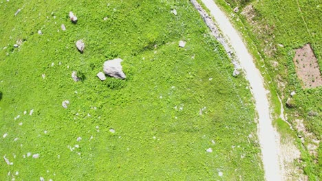 From-the-top-shot-of-meadows-and-off-roading-in-the-mountains